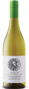 14 Waterkloof Seriously Cool Chenin Blanc(False Ba 2014